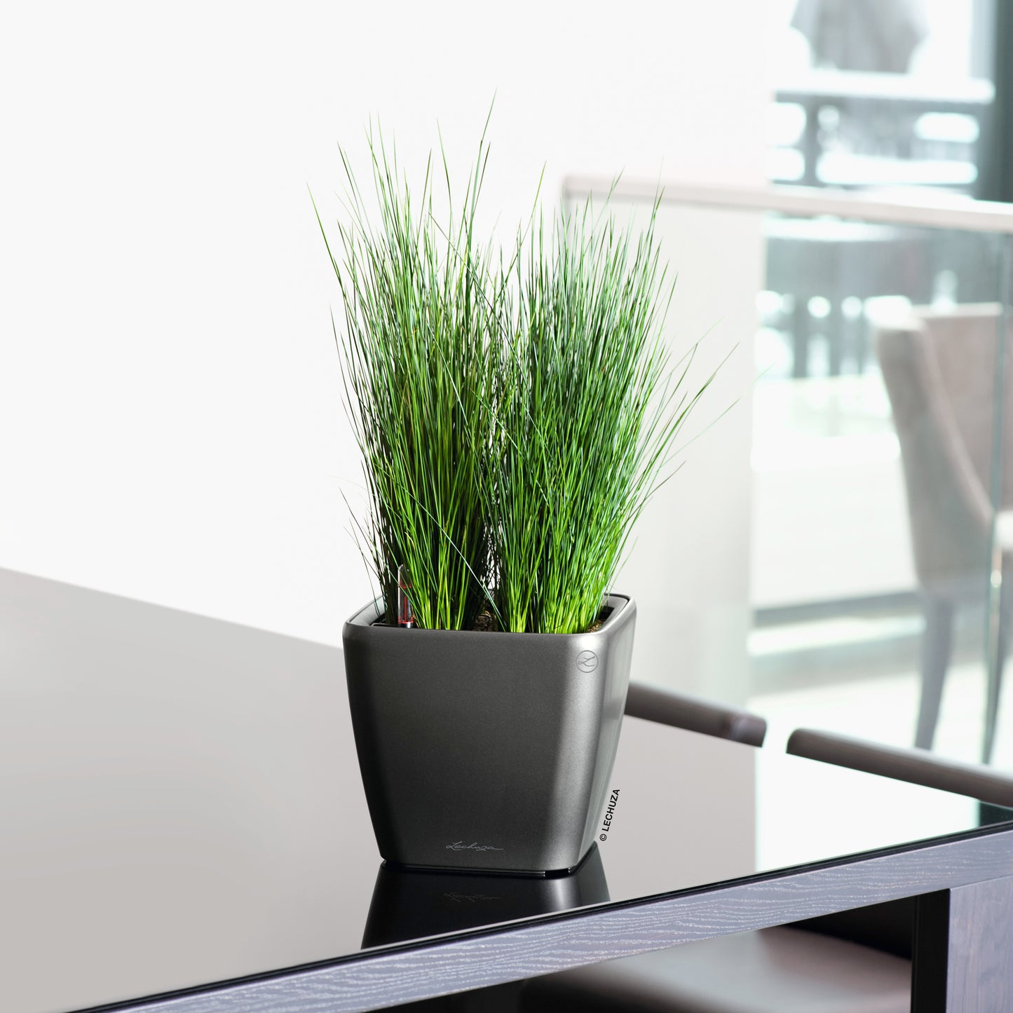 QUADRO Premium 21