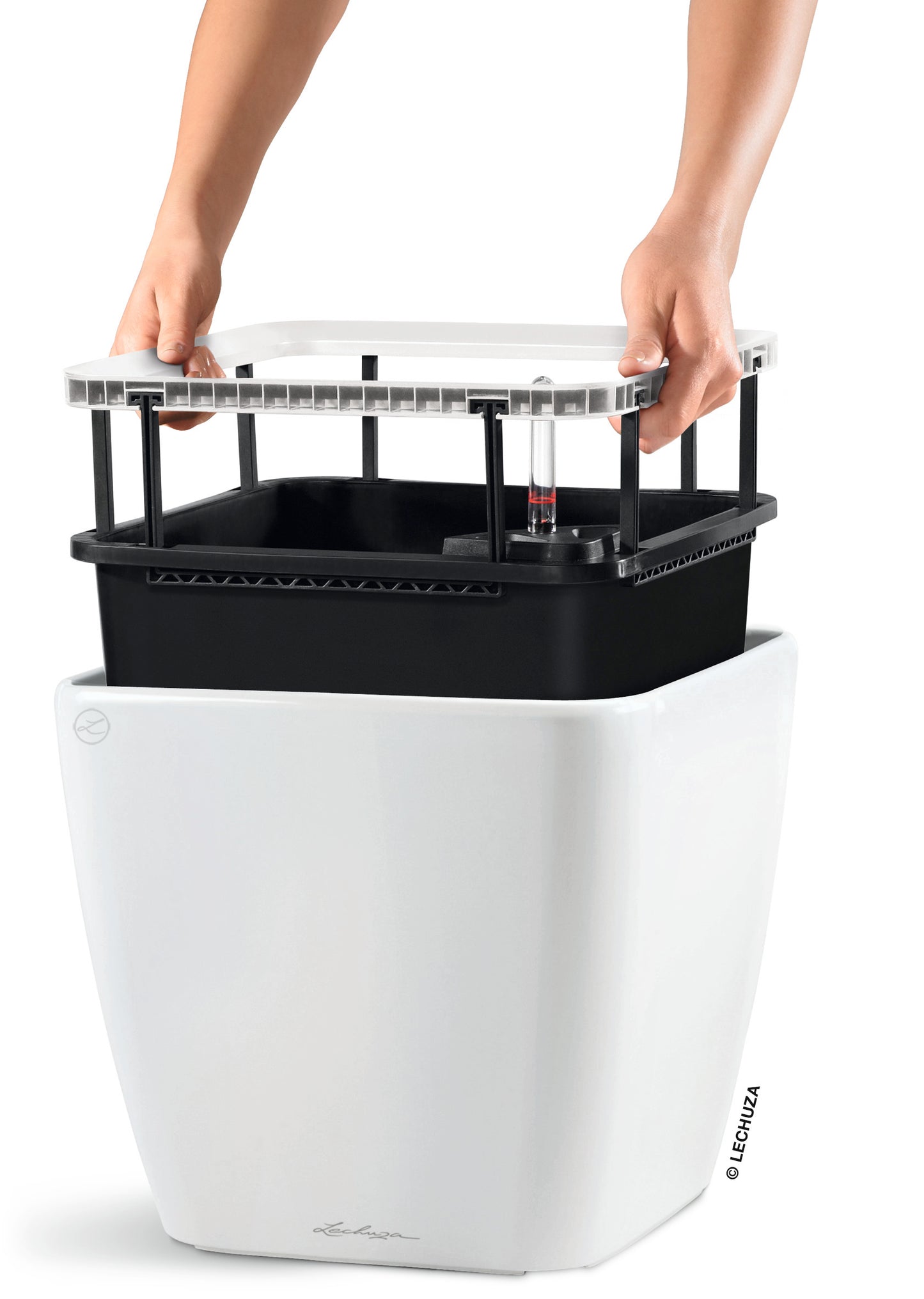 QUADRO Premium 21