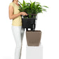 QUADRO Premium 21