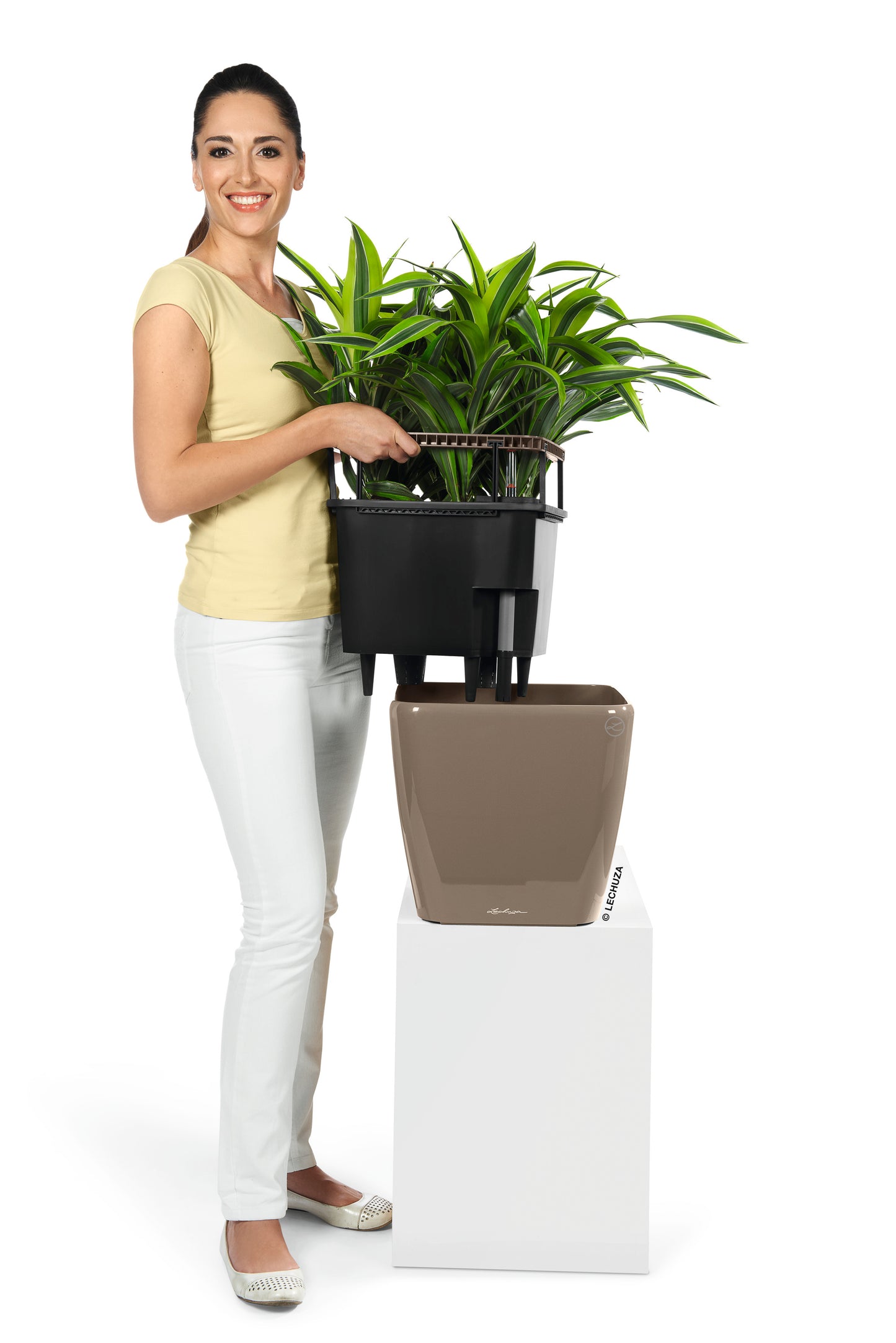 QUADRO Premium 21