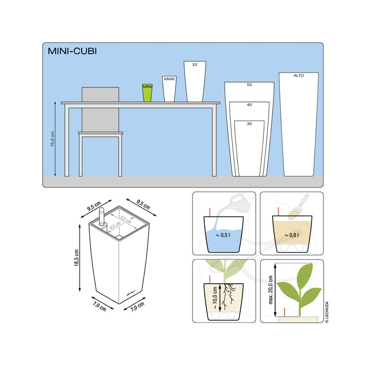 MINI CUBI
