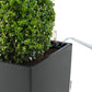 CUBICO Premium 40