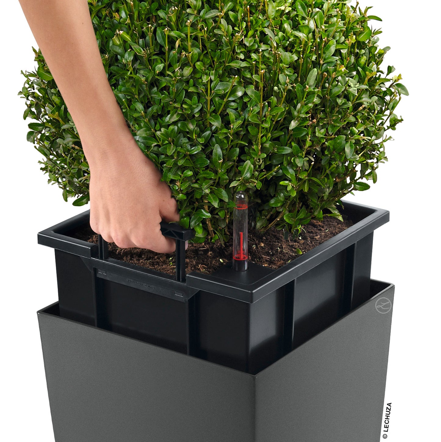 CUBICO Premium 40