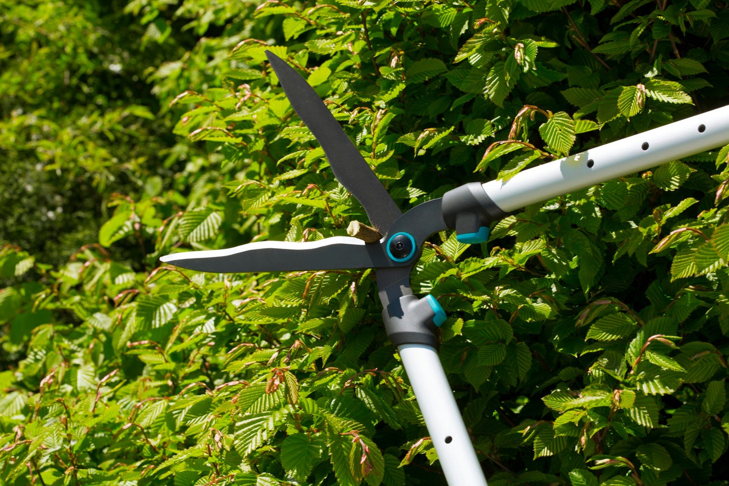 Hedge Clippers TeleCut