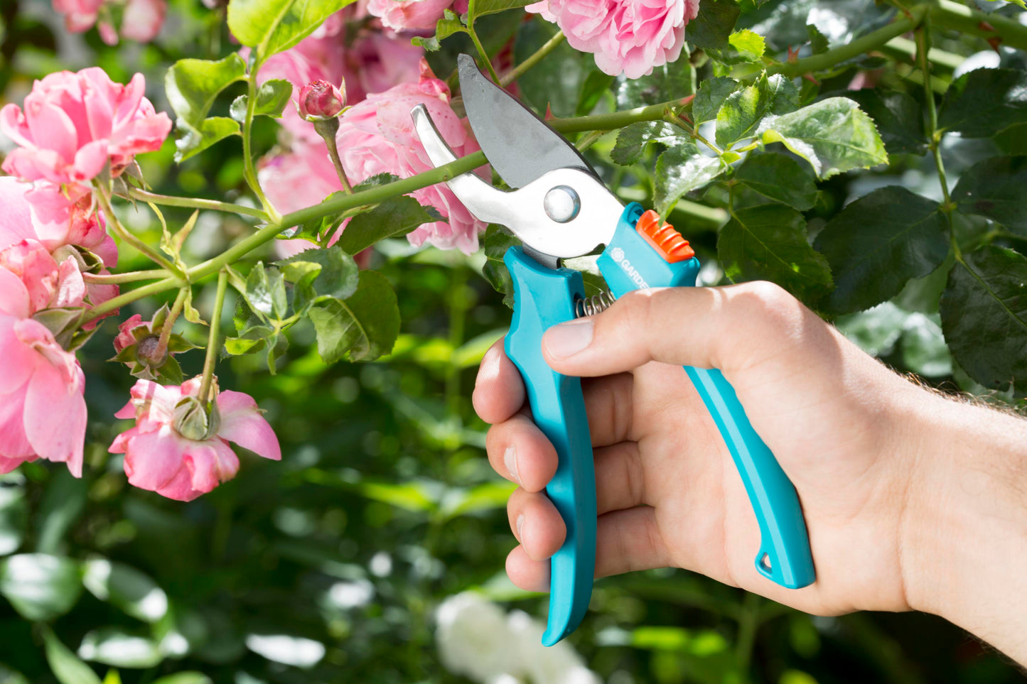 Garden Bypass Secateurs