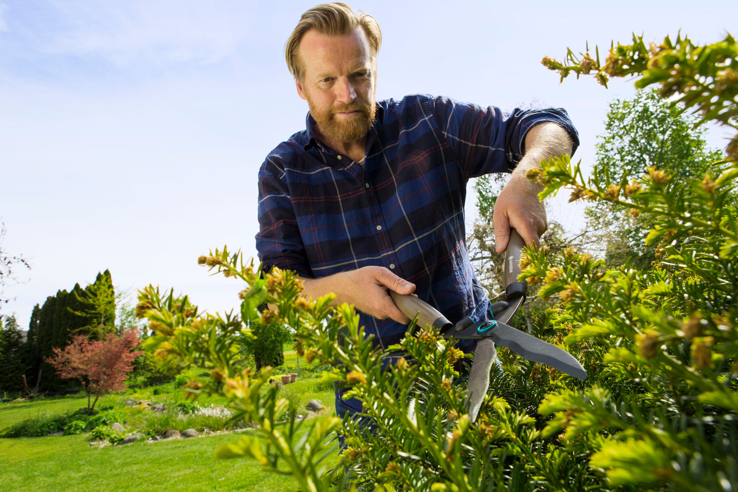 Hedge Clippers NatureCut