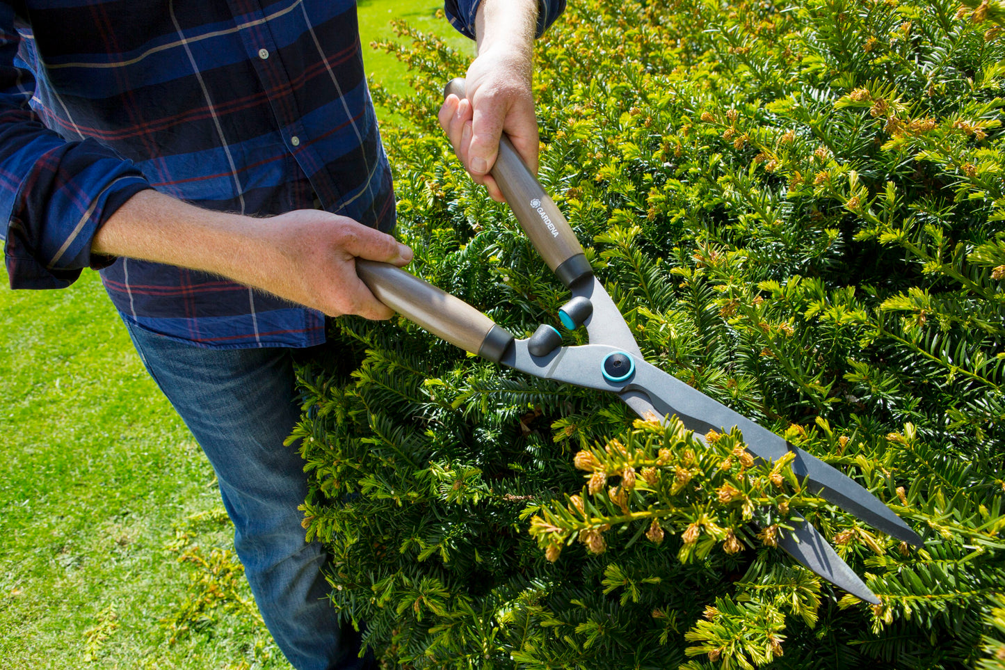 Hedge Clippers NatureCut