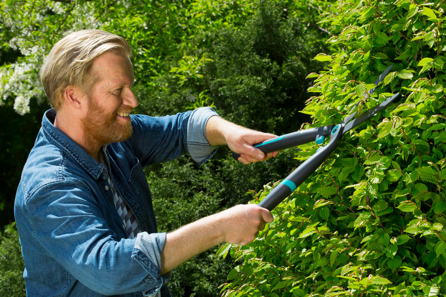 Hedge Clippers EasyCut