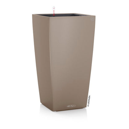 CUBICO Color 30